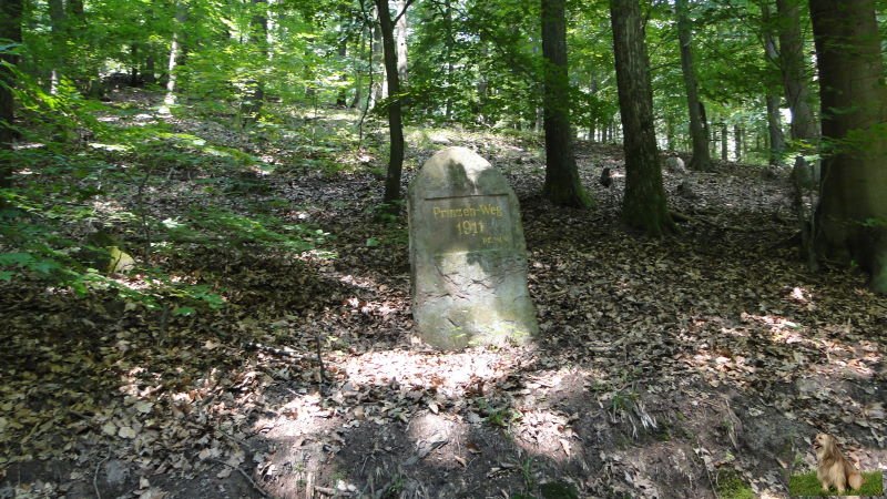 Ritterstein Nr. 041-3b Prinzen-Weg.JPG - Ritterstein Nr. 41 Prinzenweg 1911